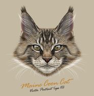 Vector portrait of Maine Coon Cats