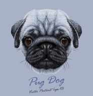 Vector Portrait of Pug DogPrint