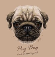 Vector Portrait of Pug Dog