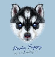 Vector Illustrative Portrait of a Husky Puppy