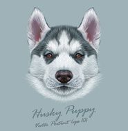 Vector Illustrative Portrait of Husky Puppy
