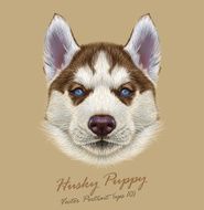 Vector Illustrative Portrait of Husky Puppy N2