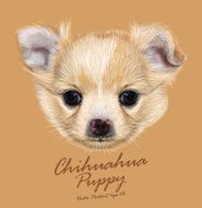 Vector Illustrative Portrait of Chihuahua Puppy