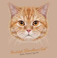 Vector Portrait of Domestic Cat