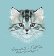 Vector Illustrative Portrait of Domestic Kitten