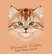 Vector Illustrative Portrait of Domestic Kitten N2