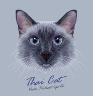 Vector Illustrative Portrait of a Thai Cat N2