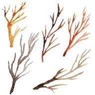 watercolor vector illustration tree branches