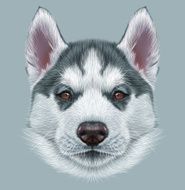 Illustrative Portrait of Husky Puppy N2