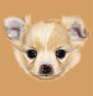 Illustrative Portrait of Chihuahua Puppy N3