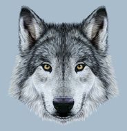 Illustration Portrait of a Wolf N2