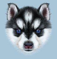 Illustrative Portrait of a Husky Puppy