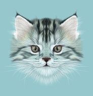 Illustrative Portrait of Domestic Kitten N2