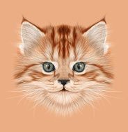 Illustrative Portrait of Domestic Kitten N3