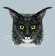 Illustrative Portrait of Maine Coon