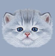 Illustrative Portrait of Domestic Kitten N4