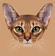 Illustrative Portrait of Abyssinian Cat