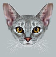 Illustrative Portrait of Abyssinian Cat N2