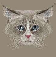 Illustrative Portrait of Siberian Cat