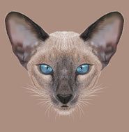 Illustrative Portrait of Siamese Kitten