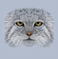 Illustrative Portrait of Pallas&#039; Cat N2