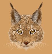 Illustrative portrait of Lynx