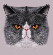 Illustration Portrait of Exotic Short hair cat N2