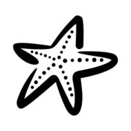 Starfish N13