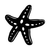 Starfish N18