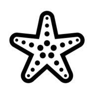 Starfish N20