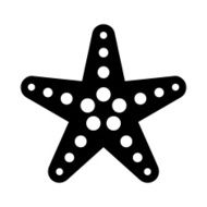 Starfish N21