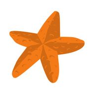 Starfish N25