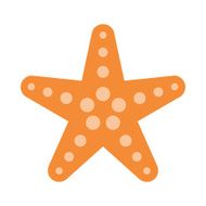 Starfish N27