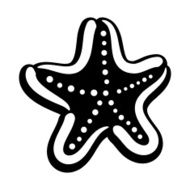 Starfish N35