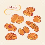 vector picture baking muffin