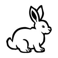 Bunny Rabbit N20