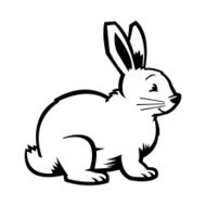 Bunny Rabbit N23