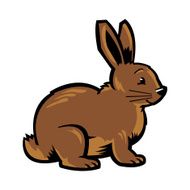 Bunny Rabbit N24