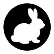 Bunny Rabbit N26
