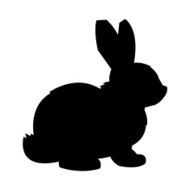 Bunny Rabbit N27