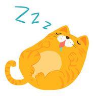fluffy sleeping sweet dream cat vector