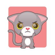 Cute gray kitten being upset