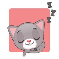 Cute gray kitten sleeping