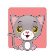 Cute cheerful gray kitten