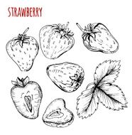 Set strawberry drawing Strawberry on a white background
