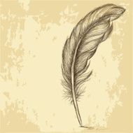 Sketch of the feather on grungy texture N2