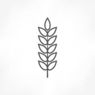 Wheat Icon N10
