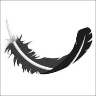 feather N54