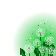 Floral design Dandelion N5