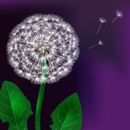 Floral design Dandelion N11